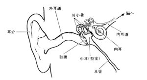 滲出性中耳炎 図1